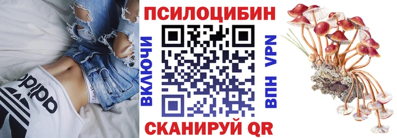 Псилоцибиновые грибы Psilocybe  blacksprut ССЫЛКА  Суздаль 